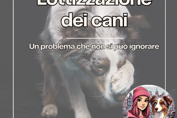 Lottizzazione dei Cani: Un Problema che Non Possiamo Ignorare